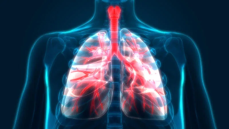 Benefits of Halotherapy on Lungs