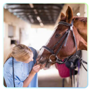 Halotherapy For Horses Course