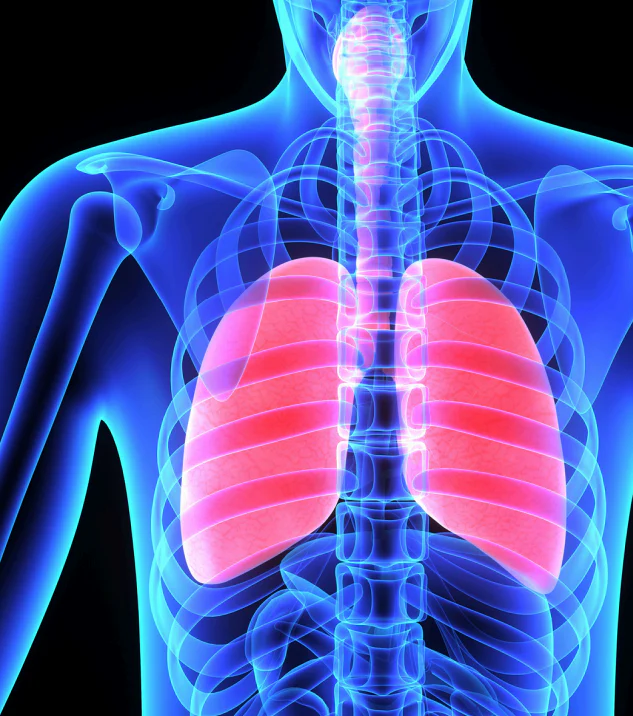 Bioavailability and delivery